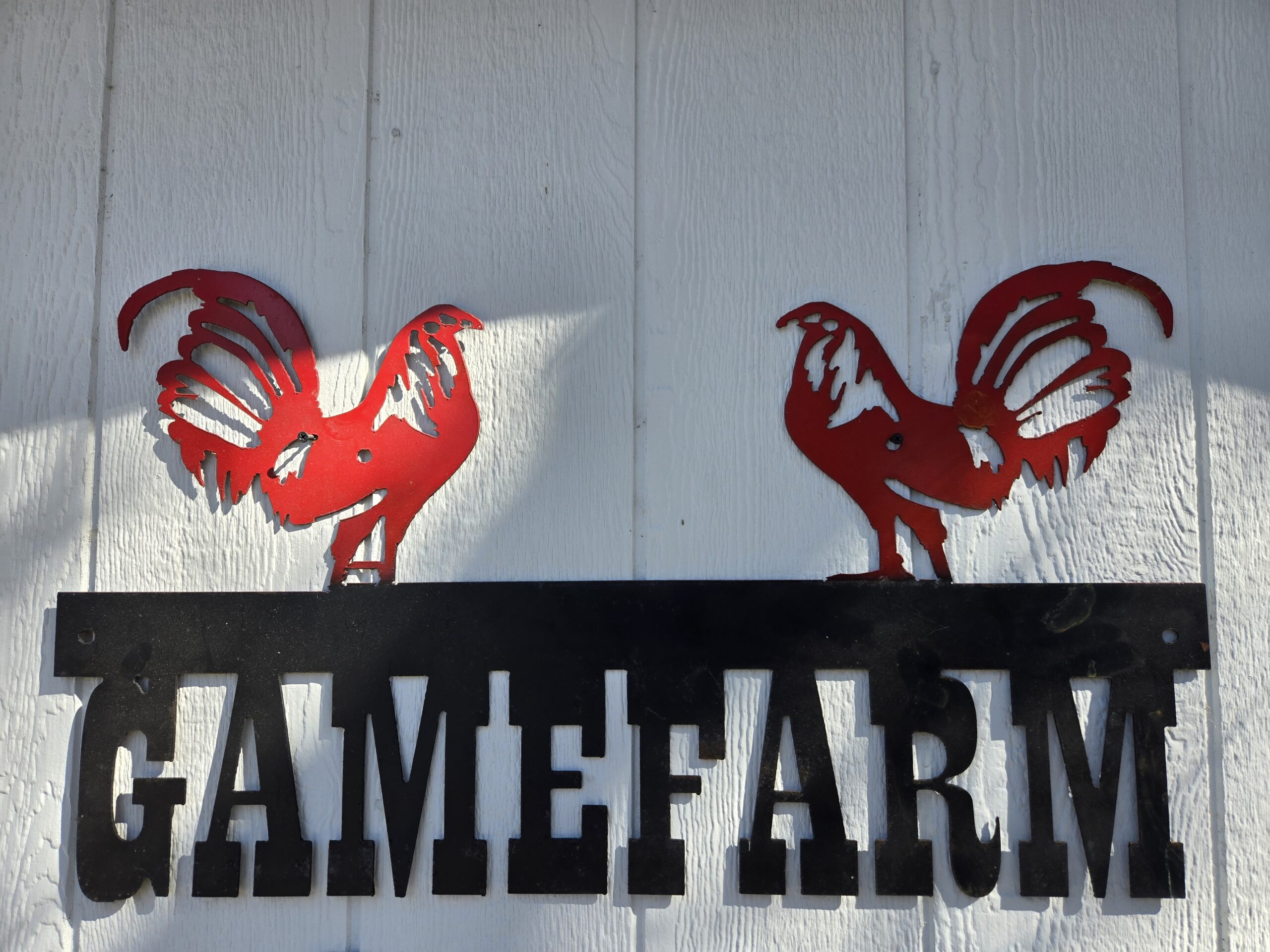 ROOSTER METAL PERSONALIZED SIGN - Image 4